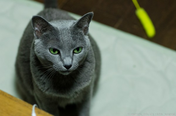 20150224-IMGP4525